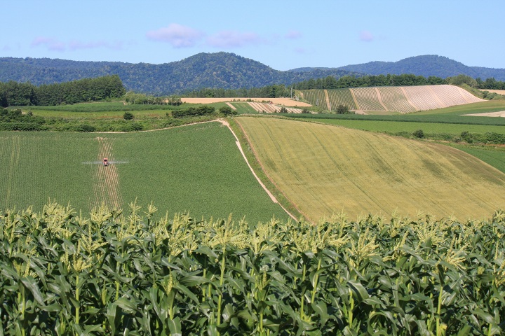 ファイル 341-5.jpg