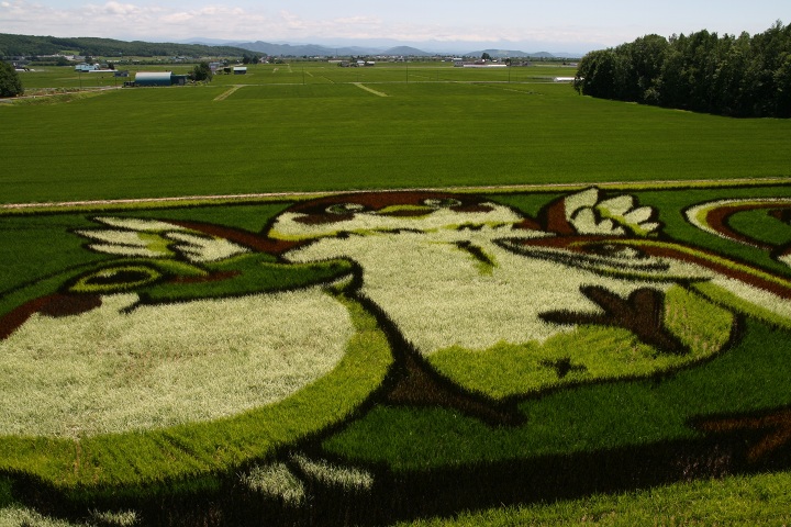 ファイル 342-3.jpg