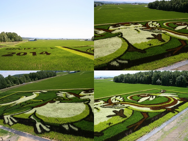 ファイル 342-4.jpg