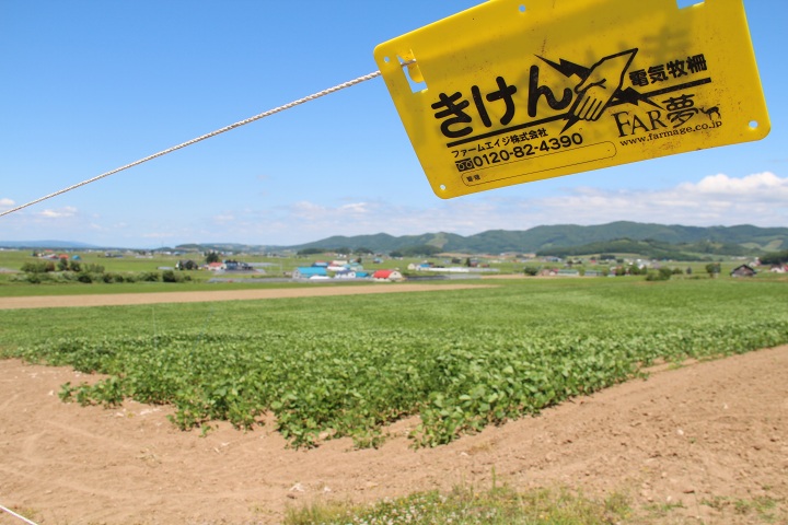 ファイル 343-3.jpg