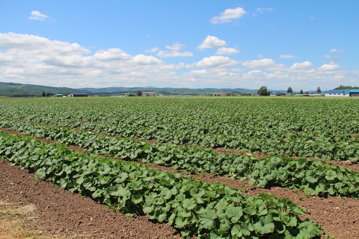 ファイル 343-4.jpg