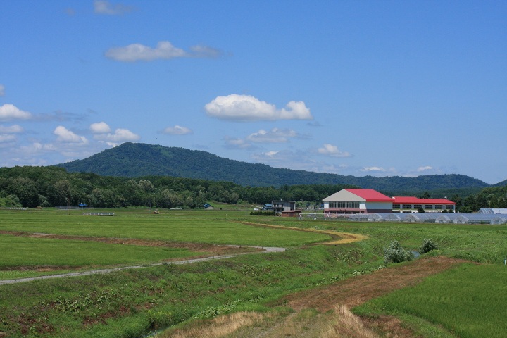 ファイル 343-5.jpg