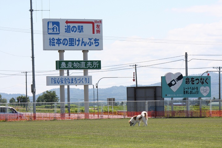 ファイル 344-2.jpg