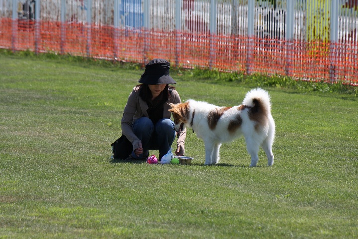 ファイル 344-3.jpg