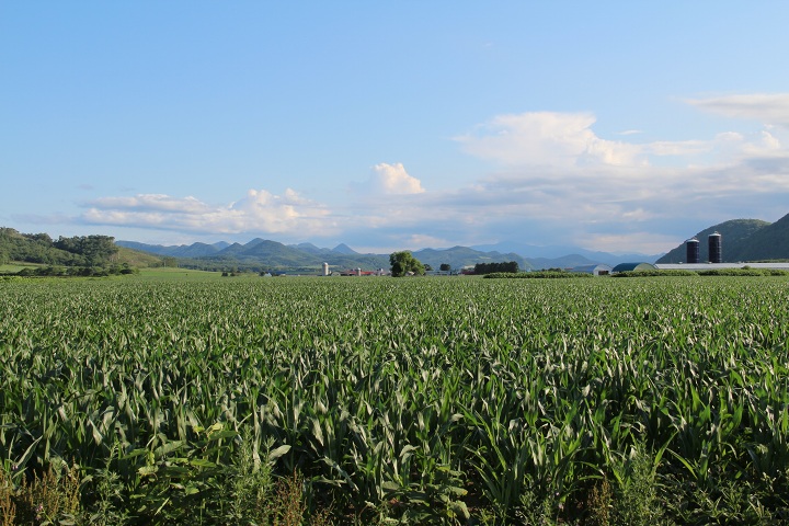 ファイル 346-1.jpg