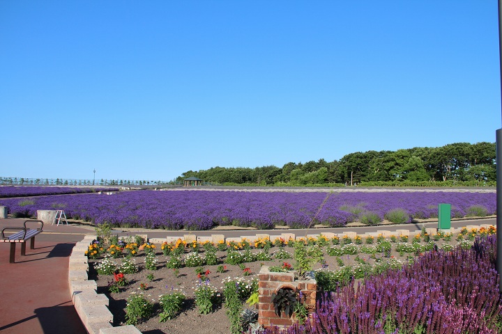 ファイル 346-3.jpg