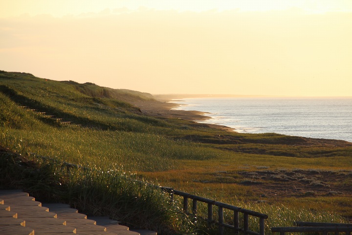 ファイル 347-4.jpg