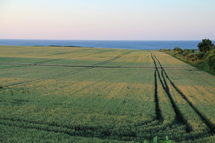 ファイル 347-5.jpg