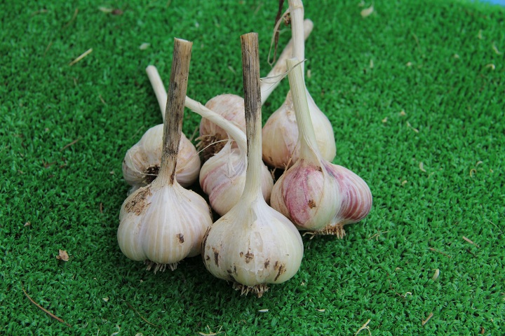 ファイル 348-3.jpg