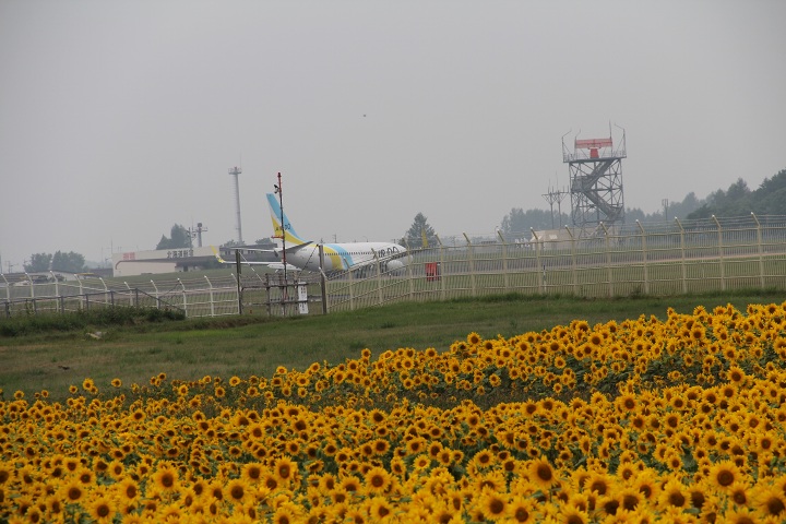 ファイル 349-2.jpg