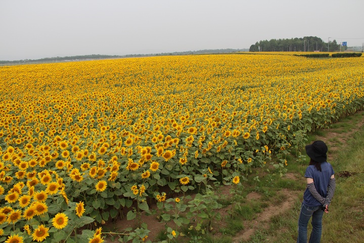 ファイル 349-4.jpg