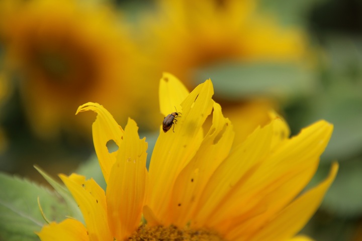 ファイル 349-5.jpg