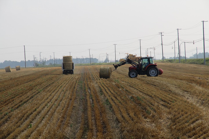 ファイル 350-1.jpg