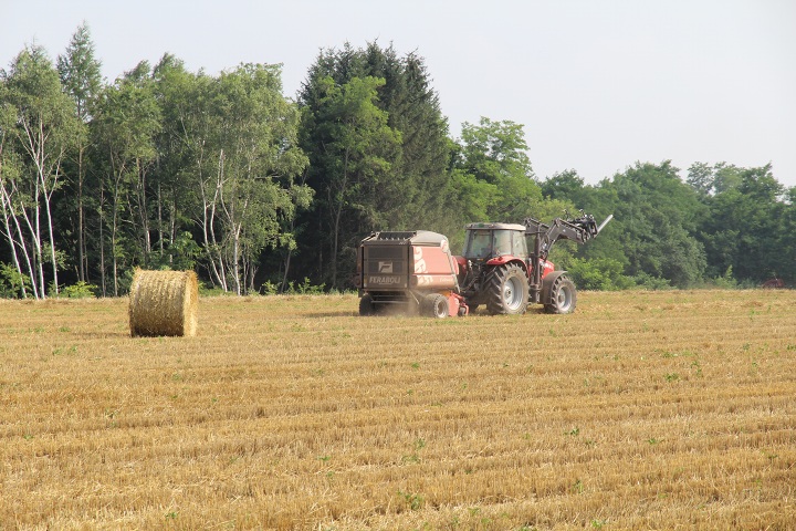 ファイル 350-2.jpg