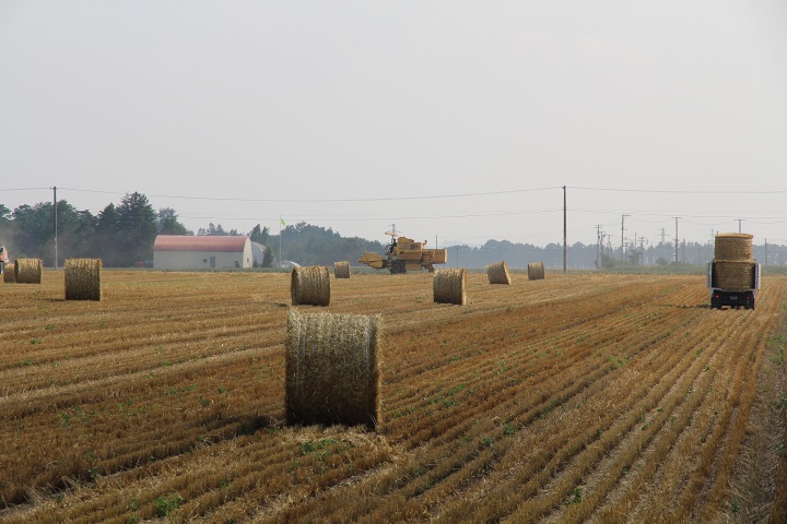 ファイル 350-3.jpg