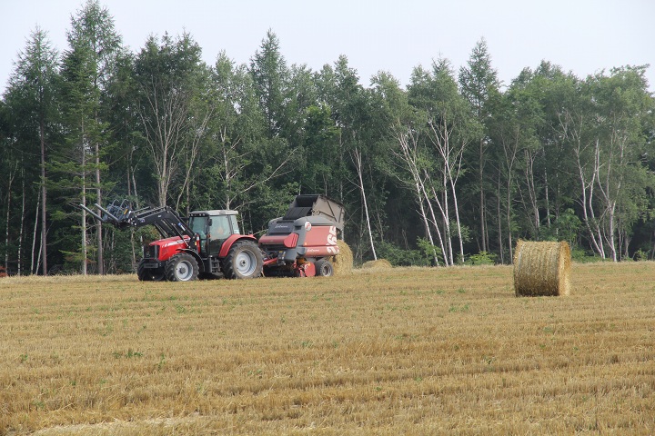 ファイル 350-4.jpg