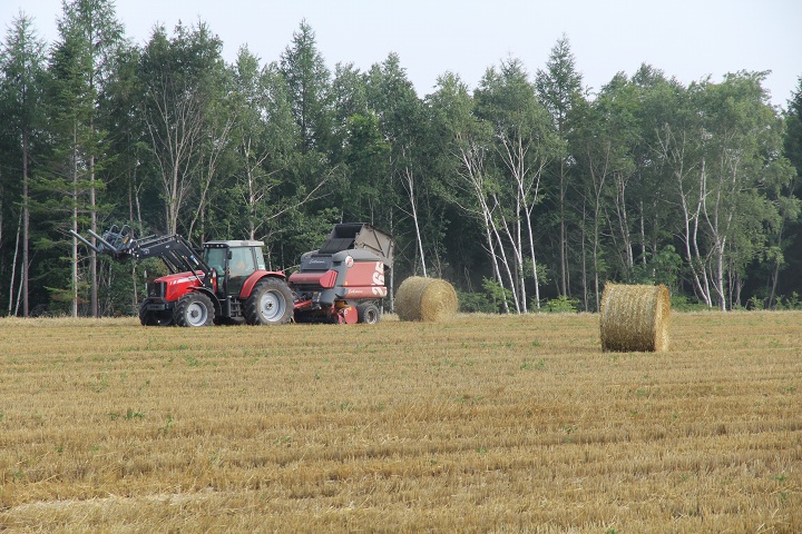 ファイル 350-5.jpg