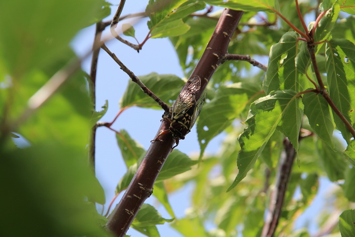 ファイル 351-2.jpg