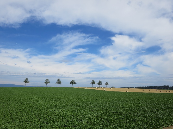 ファイル 352-1.jpg