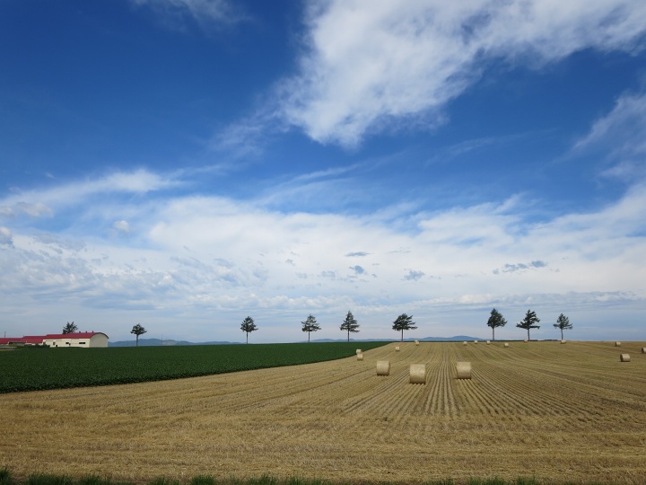 ファイル 352-3.jpg