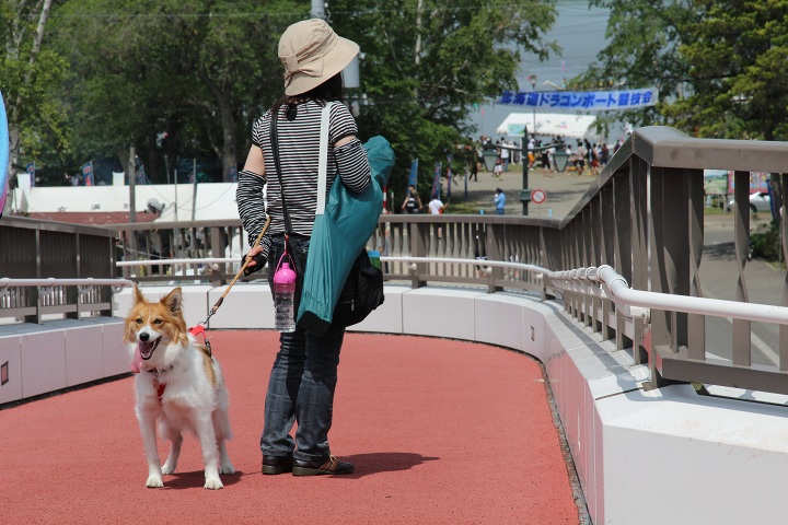 ファイル 353-1.jpg