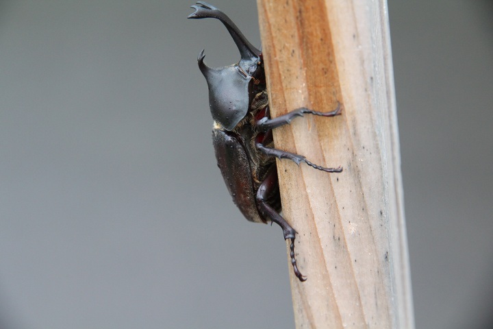 ファイル 354-1.jpg