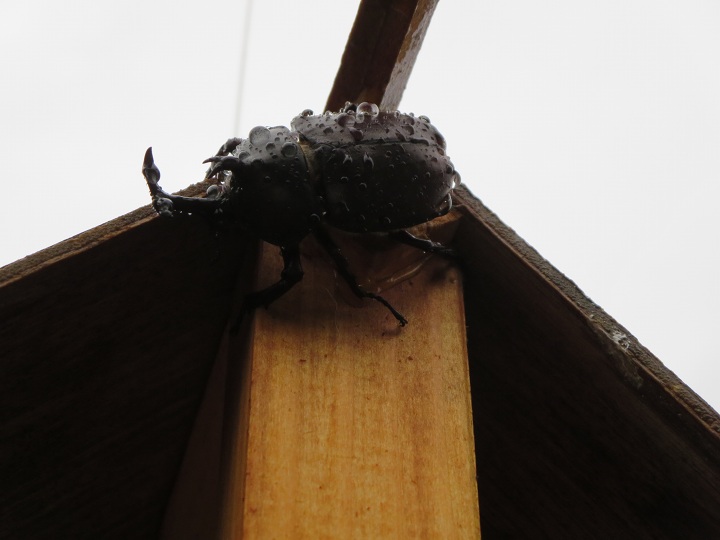 ファイル 354-4.jpg