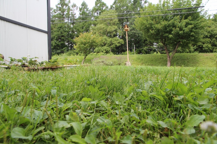 ファイル 355-1.jpg