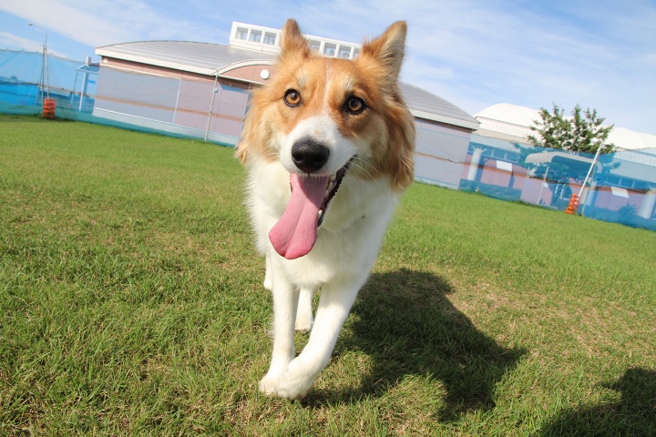 ファイル 356-1.jpg