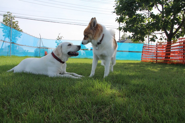 ファイル 356-2.jpg