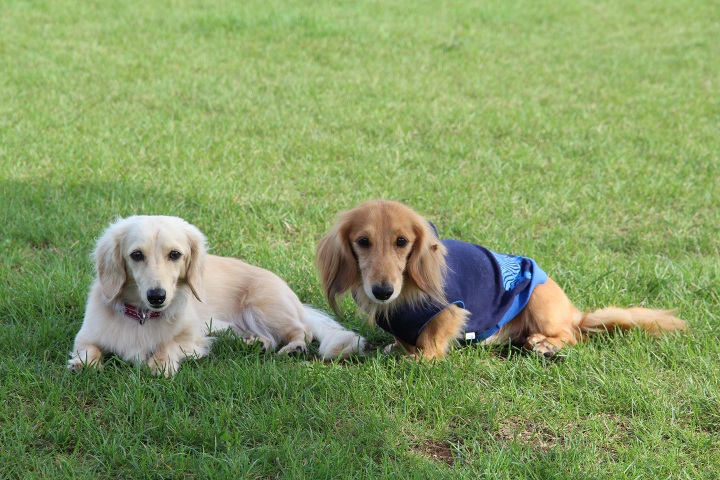 ファイル 356-3.jpg