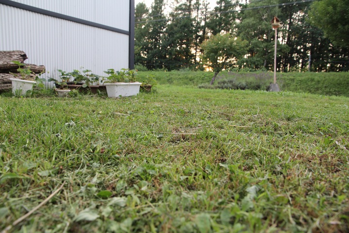 ファイル 356-5.jpg