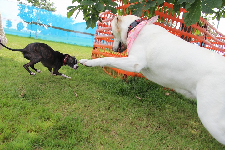 ファイル 358-1.jpg