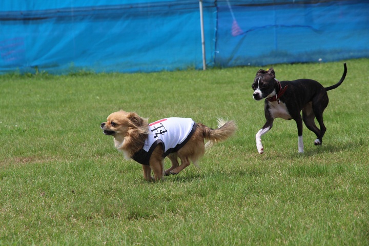 ファイル 358-2.jpg