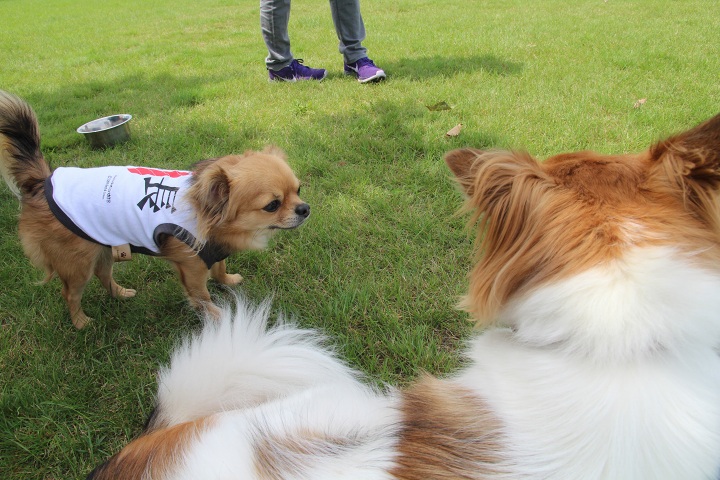 ファイル 358-3.jpg