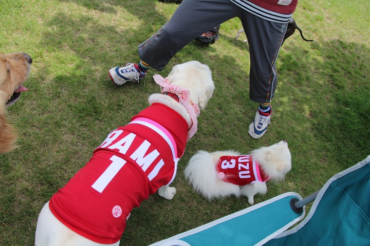 ファイル 358-4.jpg