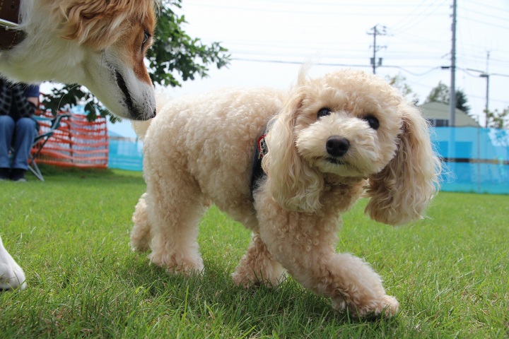 ファイル 358-5.jpg