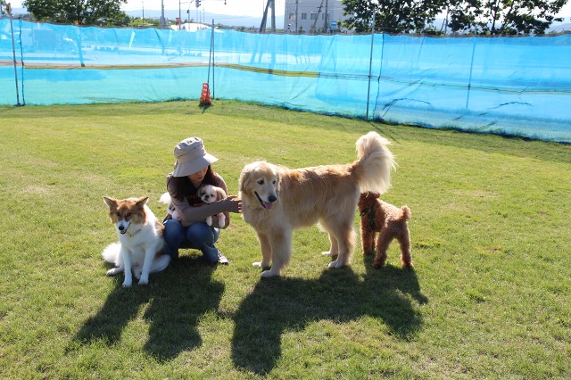 ファイル 362-1.jpg