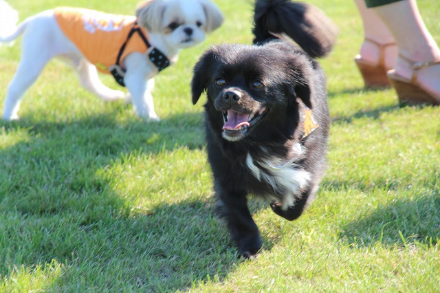 ファイル 362-2.jpg