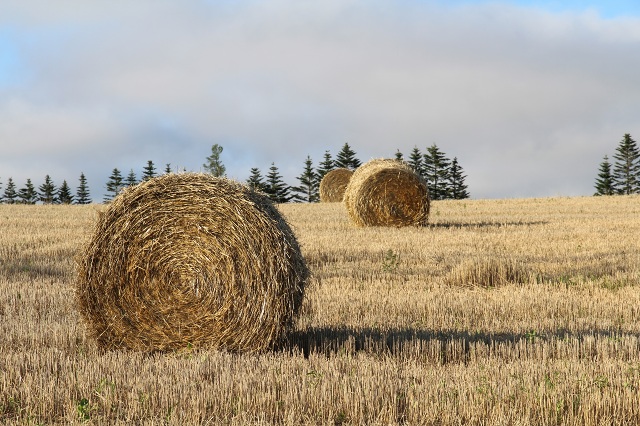 ファイル 362-3.jpg