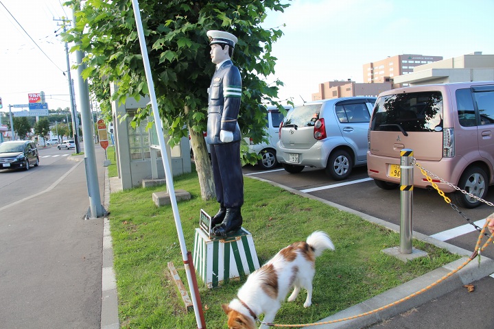 ファイル 363-1.jpg