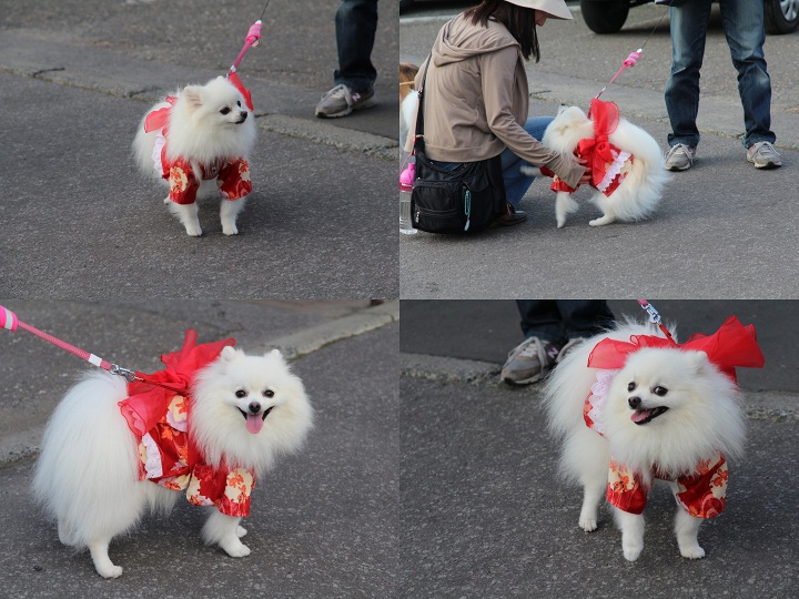 ファイル 363-4.jpg