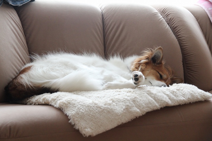 ファイル 364-1.jpg