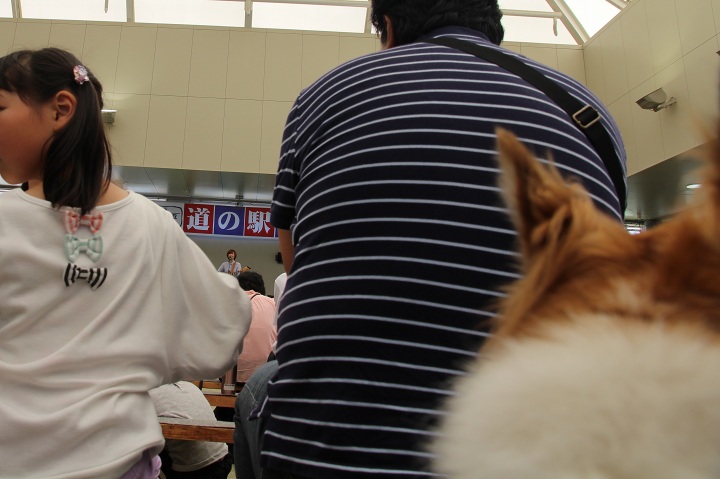 ファイル 365-2.jpg