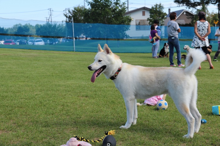 ファイル 365-3.jpg