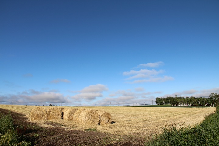 ファイル 367-2.jpg