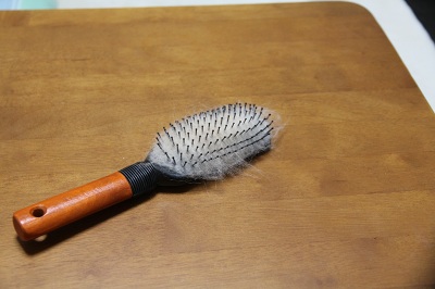 ファイル 367-4.jpg