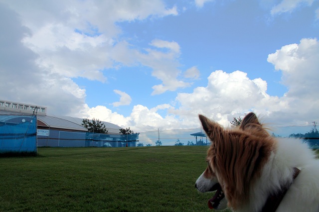 ファイル 369-1.jpg