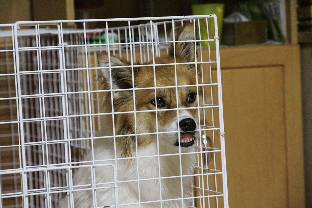 ファイル 369-5.jpg