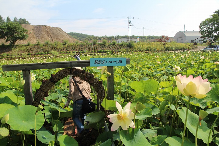 ファイル 370-2.jpg